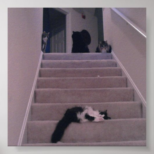 押さえてない！ ポスター (正面)