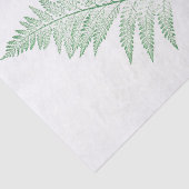押されたシダの葉 薄葉紙 (詳細)