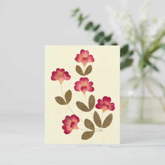 押された明るいピンクのチューブの花 ポストカード (スタンド正面)