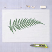 押された植物のシダの葉-色を組み合わせて下さい 薄葉紙 (クラフト)