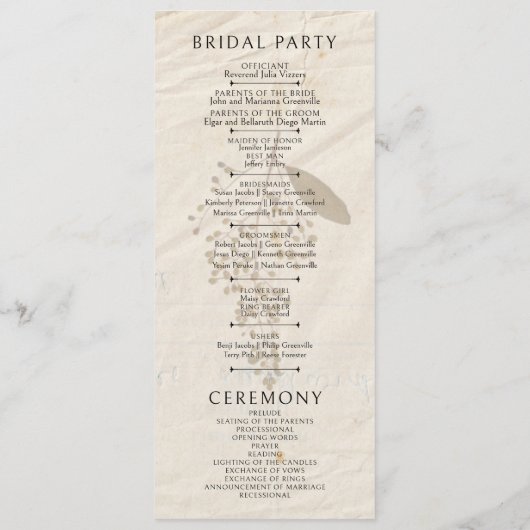 押された花みすぼらしいガーデンシック プログラム (裏面)