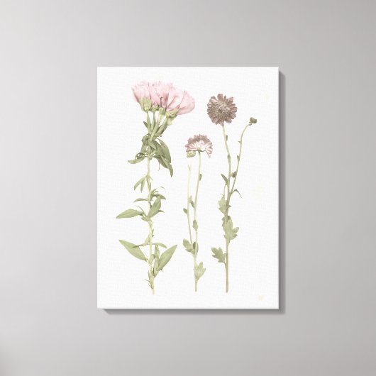 押された開花 – ピンク キャンバスプリント (正面)