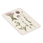 押された開花 – ピンク マグネット (右側)