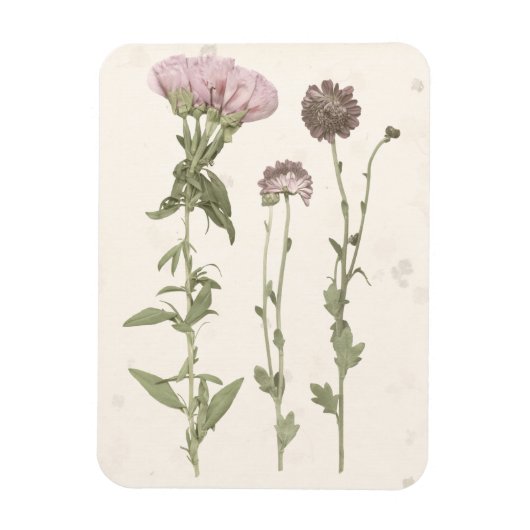 押された開花 – ピンク マグネット (縦)