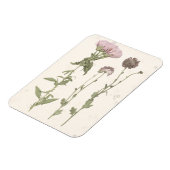 押された開花 – ピンク マグネット (左側)