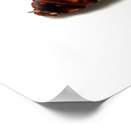 押しつぶし、押しつぶし ポスター (角)