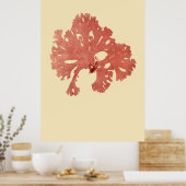 押し海藻オリジナル3分の1 ポスター (キッチン)