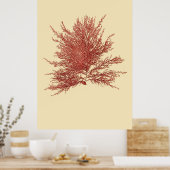 押し海藻オリジナル4分の1 ポスター (キッチン)