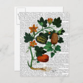 押し潰しつる植物1 ポストカード (正面/裏面)