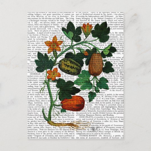 押し潰しつる植物1 ポストカード (正面)