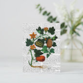 押し潰しつる植物1 ポストカード (スタンド正面)