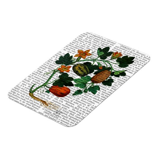 押し潰しつる植物1 マグネット (左側)