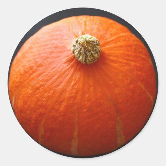 押し潰し ラウンドシール (正面)