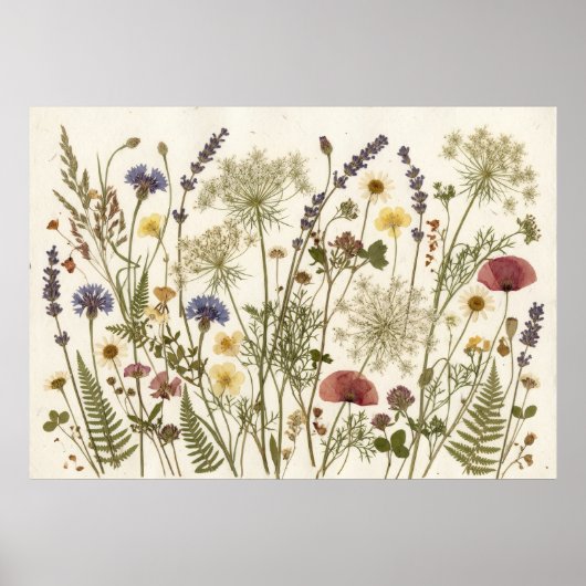 押し花の野の花 植物標本の芸術 ポスター (正面)