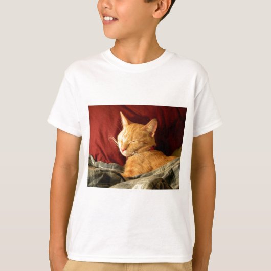 押し込められる Tシャツ (正面)