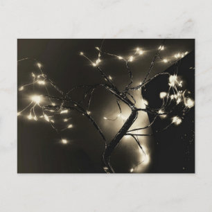 抽象化されたライト白黒の写真はがき ポストカード