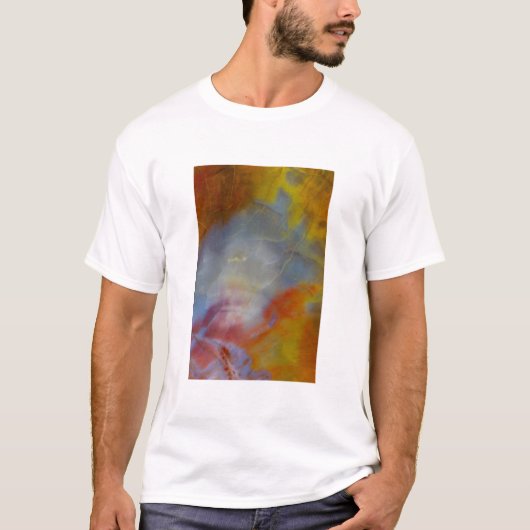 抽象化した珪化木のクローズアップ Tシャツ (正面)