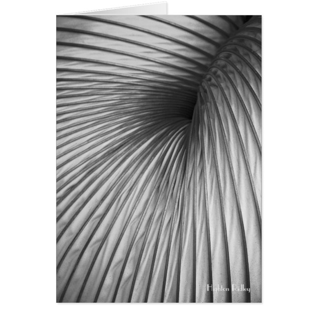 抽象抽出空白のノート/カード (正面)