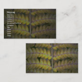 抽象的なシダの詳細 名刺 (正面/裏面)