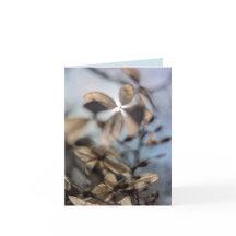 抽象的なハイドレンチア