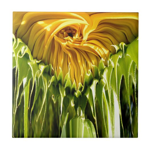 抽象的なファンキーなレトロなひまわり、不安な幾何学 タイル (正面)