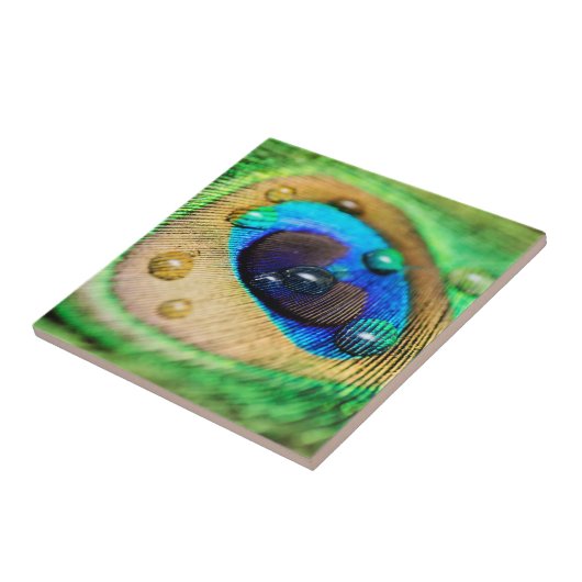 抽象的なマクロ孔雀のクジャクの羽はタイルを落とします タイル (側面)