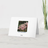 抽象的な日曜日の冬至カード シーズンカード (裏面)