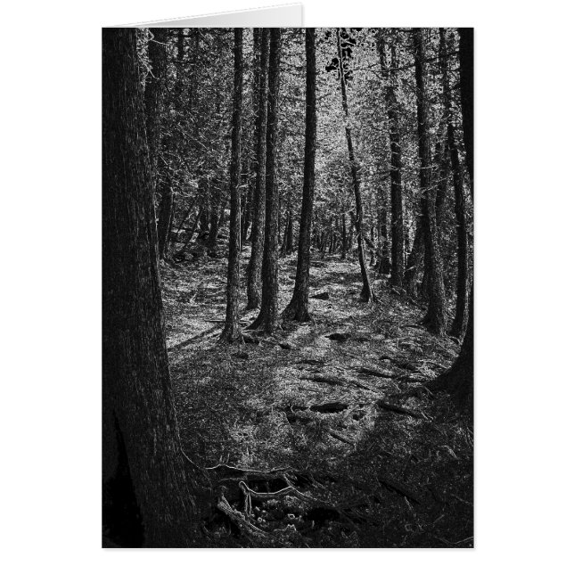 抽象的な森林 (正面)