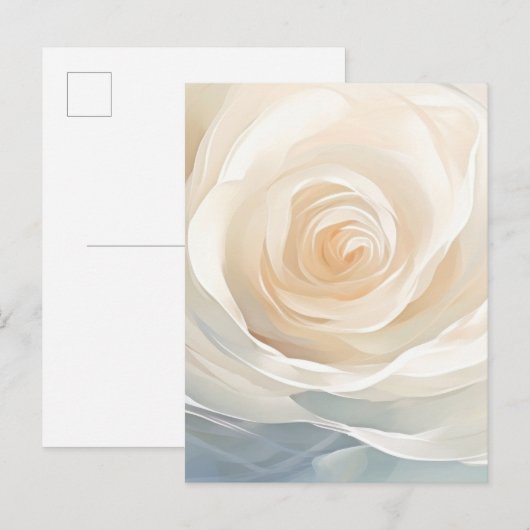 抽象的な白バラの花の絵画 ポストカード (正面/裏面)