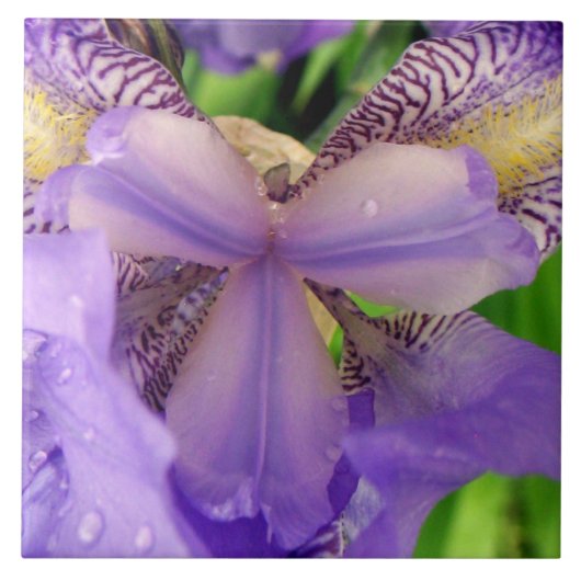 抽象的な紫色ユリの花のセラミックタイル タイル (正面)