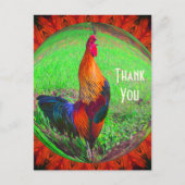 抽象的な自然の感謝のポストカード - ニワトリ ポストカード (正面)