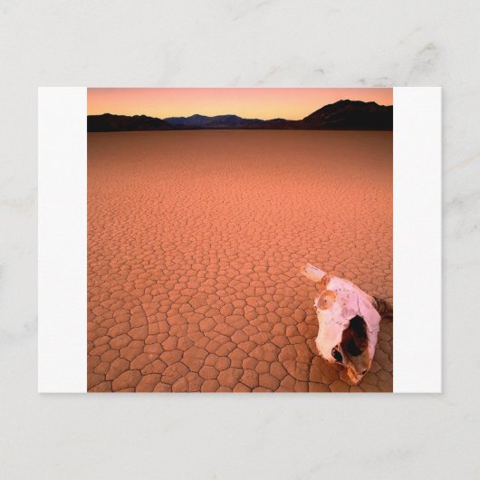 抽象的な 砂漠の死の谷 ポストカード (正面)