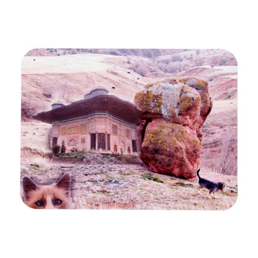 抽象芸術おもしろいコラージュ3"x4"フォトマグネット マグネット (横)