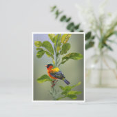 抽象芸術お洒落バードオンツリーブランチ ポストカード (スタンド正面)