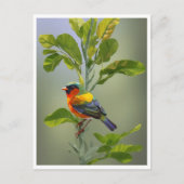 抽象芸術お洒落バードオンツリーブランチ ポストカード (正面)