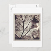 抽象芸術と白の葉 ポストカード (正面/裏面)