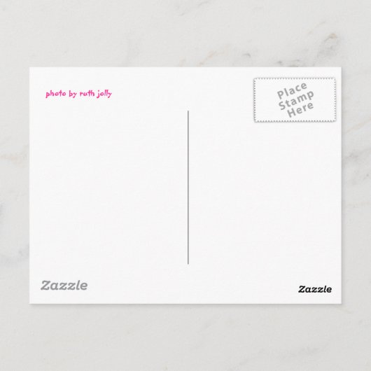 抽象芸術のはがき ポストカード (裏面)