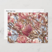 抽象芸術のチューリップの写真 ポストカード (正面/裏面)