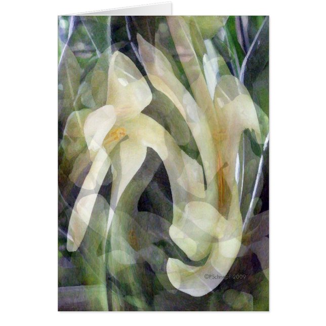抽象芸術のパパイヤの花 (正面)