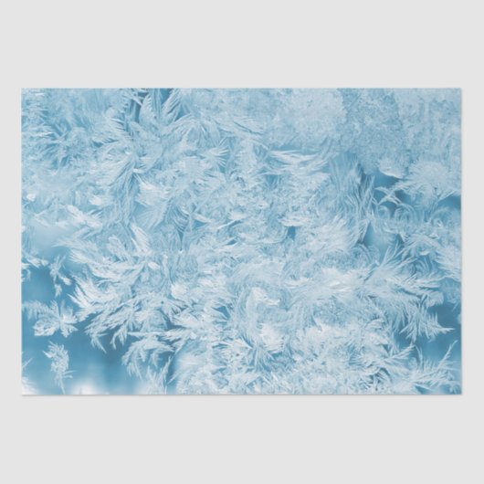 抽象芸術の青い羽と雪 薄葉紙 (正面)