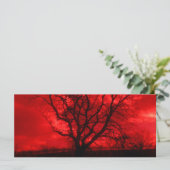 抽象芸術はげ (スタンド正面)