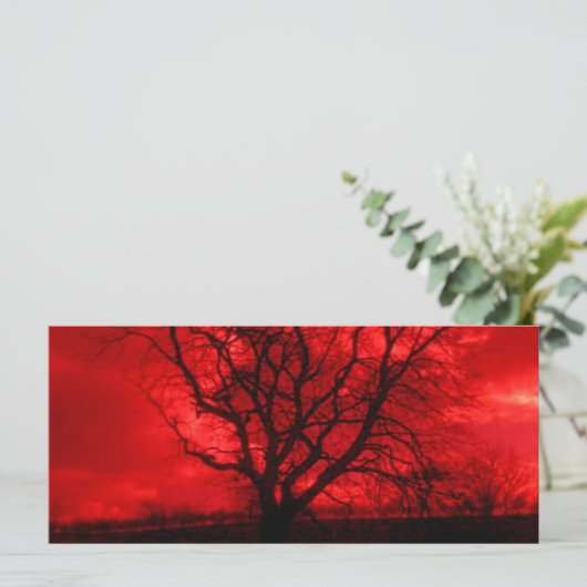 抽象芸術はげ (スタンド正面)