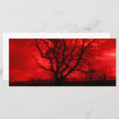 抽象芸術はげ (正面/裏面)