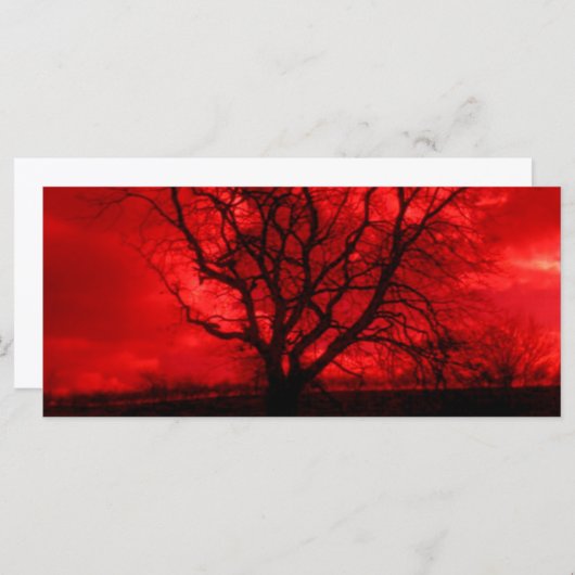 抽象芸術はげ (正面/裏面)