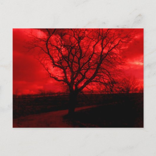 抽象芸術はげ ポストカード (正面)