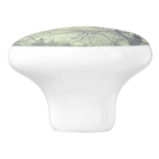 抽象芸術は湖の引き出しの引き出しに浮かぶ セラミックノブ (側面)