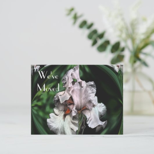 抽象芸術アイリスフラワー新しいアドレス 案内ポストカード (スタンド正面)
