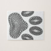 抽象芸術インクポープリント ジグソーパズル (横)