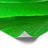 抽象芸術エメラルドグリーンバラセンター写真 ポスター (角)