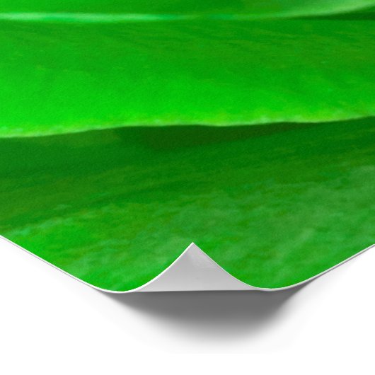 抽象芸術エメラルドグリーンバラセンター写真 ポスター (角)